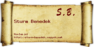 Sturm Benedek névjegykártya