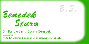 benedek sturm business card